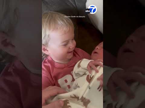 Smiles to Sobs: Newborn's Cry Sets Off Toddler Sibling During First Embrace