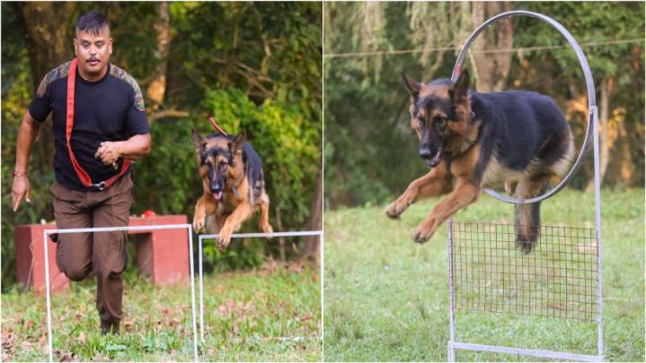 Kaziranga National Park forensic K9 workshop