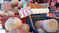 Dulce tradición: inicia la venta masiva de calabaza para altares previo al Día de Muertos