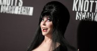 You can thank Elvis for Elvira, Cassandra Peterson says