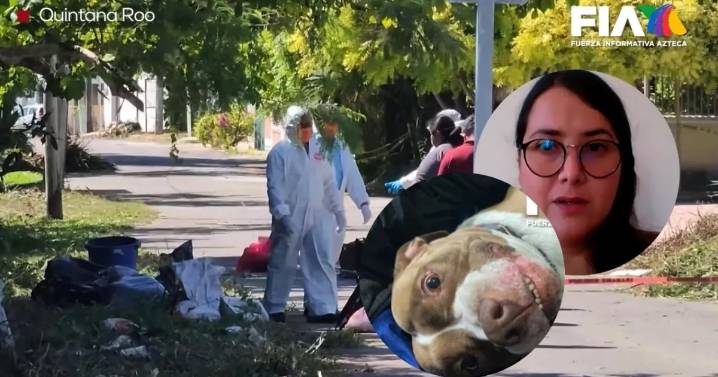Narran el horror del crematorio de perros Xibalbá; hallaron 150 cuerpos aventados