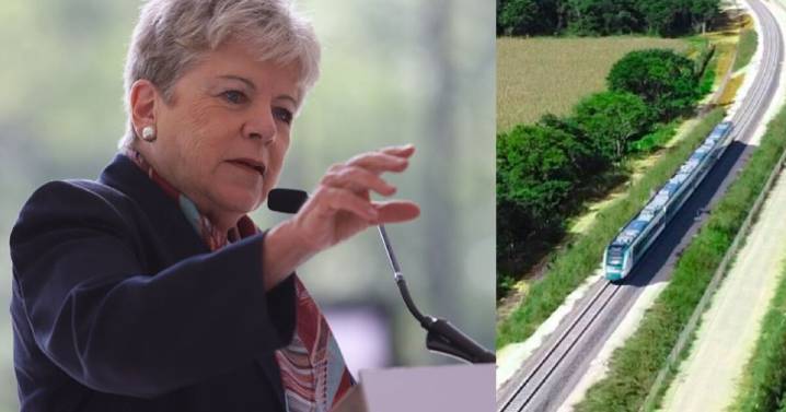 Admite Alicia Bárcena daños ambientales del Tren Maya