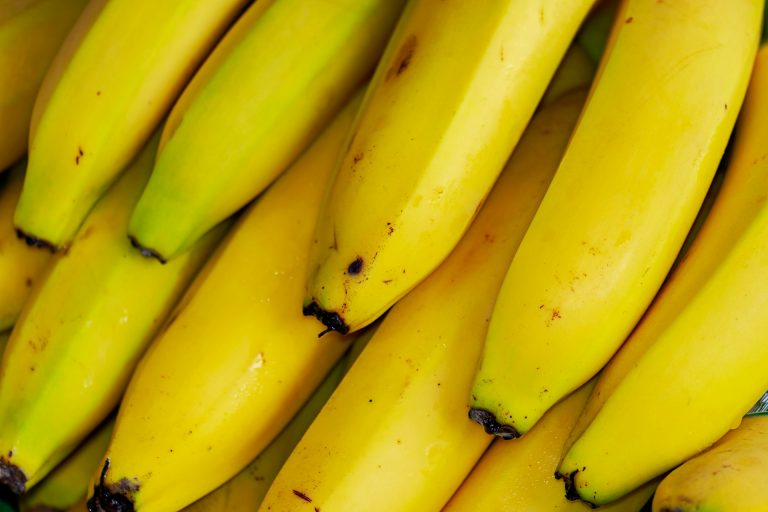 ICE Gestapo arrests banana-clad clarinetist at Portland protest