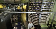 Welsh family-run bakery business plan to close factory site