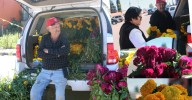 Ya llegó Don Guillermo, con flores tradicionales de Día de Muert0s