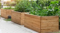 How To Care For Your Raised Garden Bed After Heavy Rain