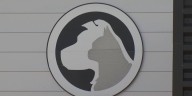 Cedar Rapids seeks community feedback on animal shelter operations