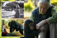 Jane Goodall's cause of death revealed