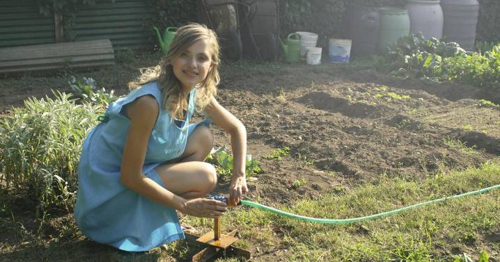 EarthTalk: Eco-advocates urge growing backyard gardens
