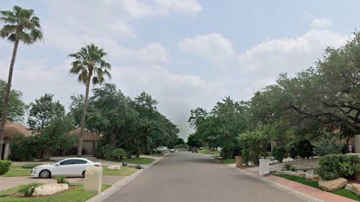 Jardinero muere por un infarto en lo alto de una palmera; queda colgado de sus correas de seguridad