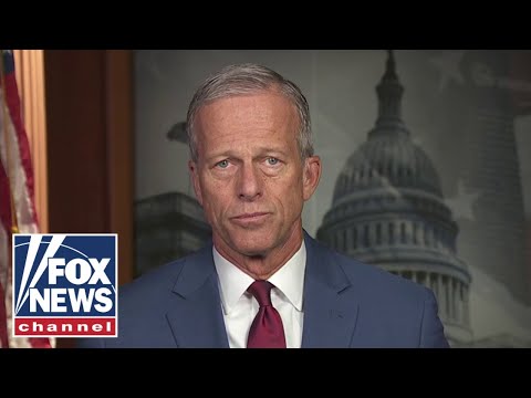 ‘DESPERATE’: Top Senate Republican calls out Dems in shutdown fight