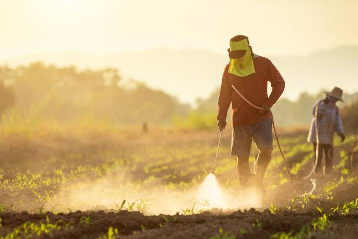 Fertilizer stock jump after reporting ₹612 Cr profit against loss of ₹585 Cr previous year