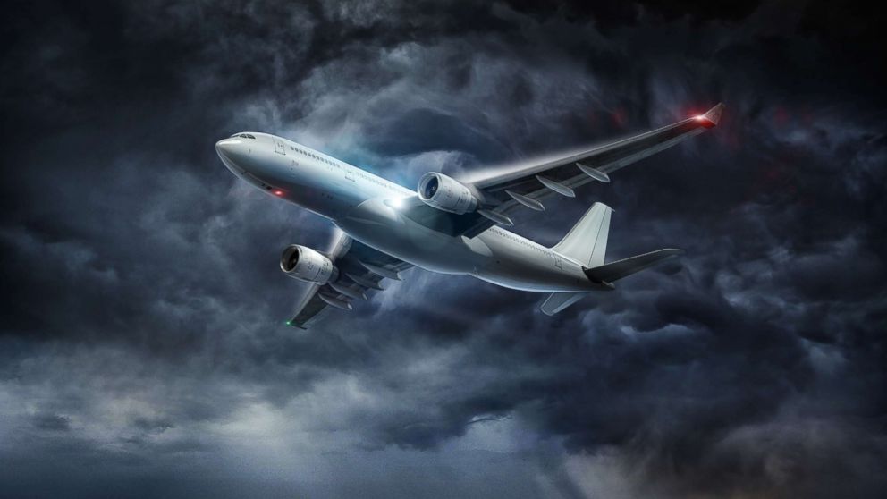 As Skies Grow Bumpier, Scientists Turn to Birds for Clues on Turbulence