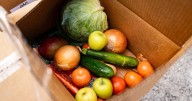 Trump administration won't use emergency funds for food stamps amid shutdown