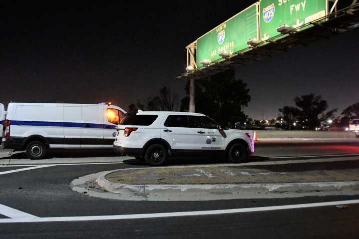 Pedestrian killed by driver on DTLA freeway
