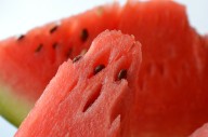Patilla para mantener la salud vascular