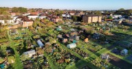 3 'crucial' allotment tasks to carry in October to ensure a spring 'head start'