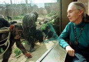 Muere la primatóloga Jane Goodall a los 91 años