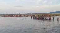 Tractor Carrying Durga Idols Plunges into MP Lake, 9 Killed