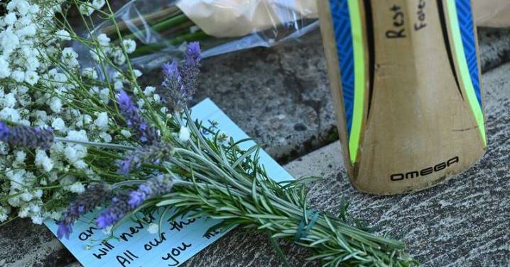 'Forever 14 not out': heartbreak as teen cricketer dies