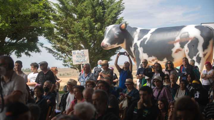Ganaderos y ecologistas celebran que el Supremo tumbe el proyecto de la mayor macrogranja de Europa en Soria
