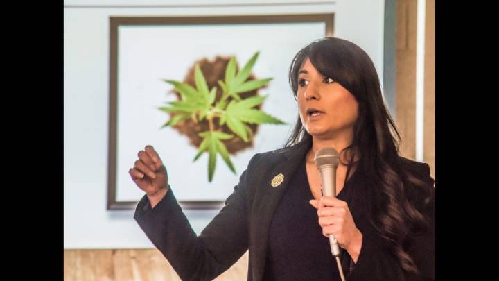 Cannabis fund use up for debate at Carroll hearing