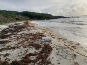 Los narcotraficantes cambian sus rutas de suministro para evadir los buques de guerra estadounidenses