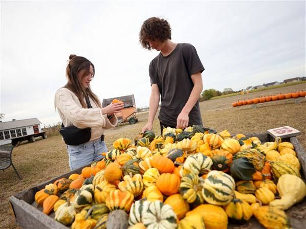 Seasonal pastimes: Drought, late frost keep pumpkins on the vine for fall harvest celebrations