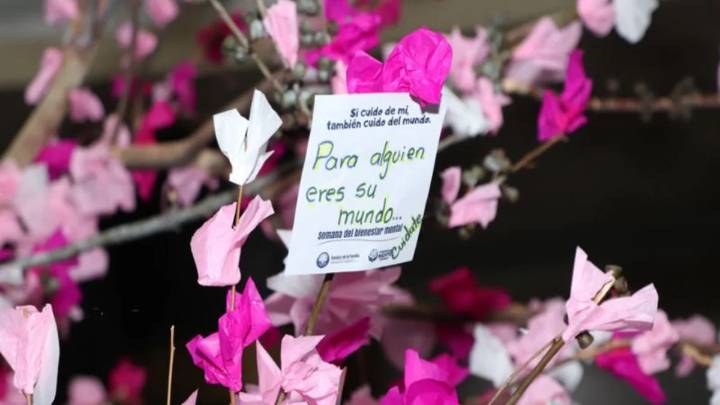 Cundinamarca concluye la semana de la salud mental con enfoque en el bienestar emocional