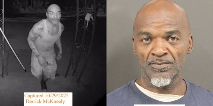 Dogs find man hiding in gully after chase