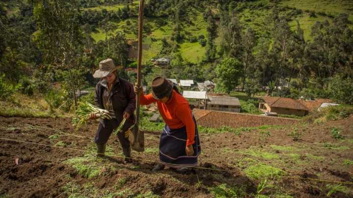 El 44 % de las mujeres rurales no tiene ingresos propios: este el panorama sobre brechas económicas y culturales en la región y en el país