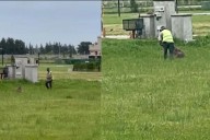Denuncian que golpearon a un carpincho y lo dejaron en estado crítico: "Lo atacaron con un hierro"