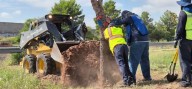 Reubican árboles de la zona Vialidad Nogales e Industrias