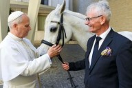 Pope Leo gifted with "Proton" a purebred Arabian horse