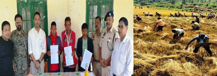 Farmers harvest paddy in Lapangap as tension ends