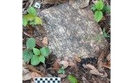 Un antiguo artefacto romano perdido reaparece en un patio de Nueva Orleans