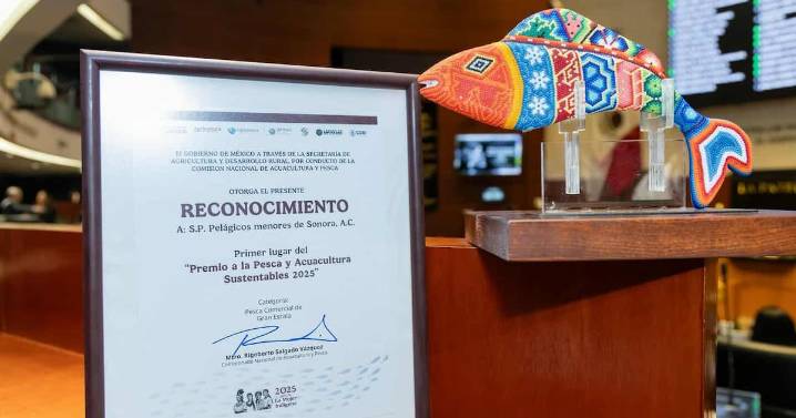 Reconocen sistema innovador de producción de sardina