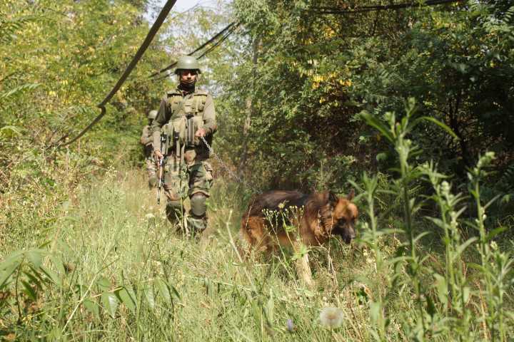 Search Operations Underway After Pak Drone Sighting Along IB In J&K’s Samba