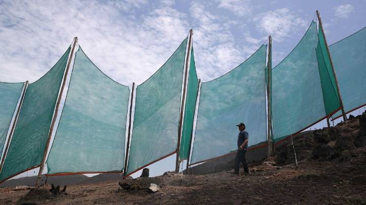 Los paneles ‘atrapanieblas’: una solución que proporciona agua gratis en lugares remotos
