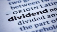 Dividend stocks: Hexaware Tech, Rashtriya Chemicals, and other stocks to trade ex