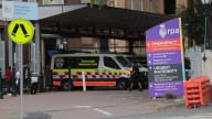 71-year-old grandmother punched in the head and left fighting for life in a Sydney park while grandson watched the horror unfold