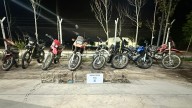 Un solo operativo secuestraron rodados adulterados y aves autóctonas