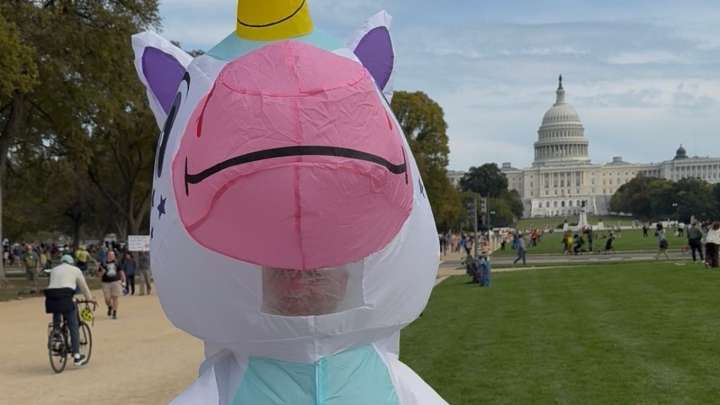 Why are protesters dressing up like frogs and unicorns? : NPR