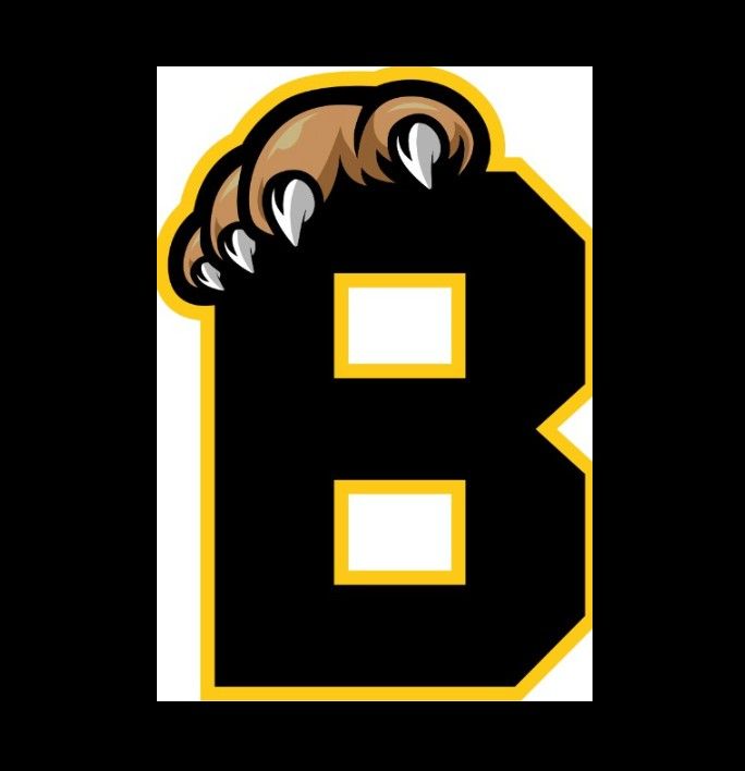 Brantford Bulldogs beat Brampton Steelheads 7