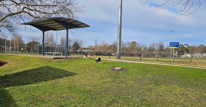 Ferntree Gully: Teenage cricketer fighting for life in hospital after being injured in warm