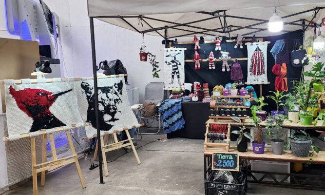 Emprendedora regional representará a Magallanes en la Semana de la Pyme y Cooperativas 2025 en Santiago