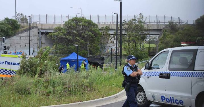 Shellharbour murder case: Teenagers may be taken into custody