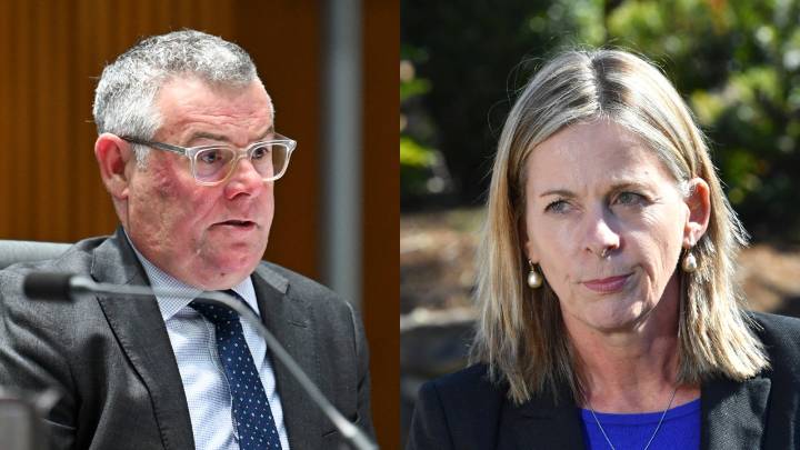 Shadow environment minister says Labor’s overhaul of environmental laws ‘short on detail’, vows to ensure legislation does not impact jobs and productivity