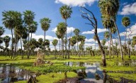Turismo en Formosa: alta participación recreativa durante el fin de semana largo