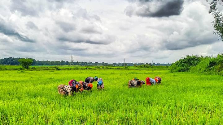 Nine Maharashtra Districts Selected For Pradhan Mantri Dhan Dhaanya Krishi Yojana